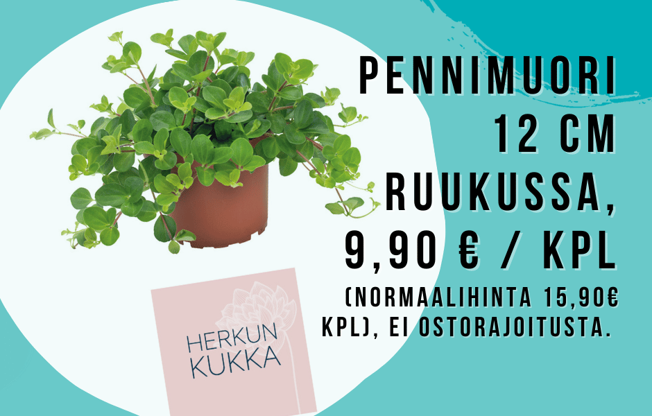 Herkun kukka