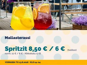 Read more about the article Mallasterassi