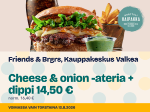 Read more about the article Friends & Brgrs, Kauppakeskus Valkea